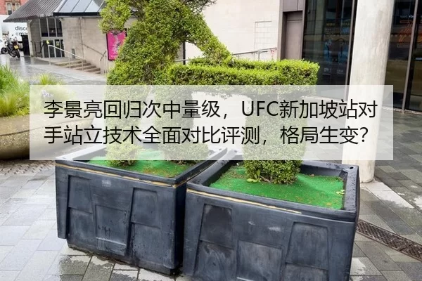李景亮回归次中量级，UFC新加坡站对手站立技术全面对比评测，格局生变？